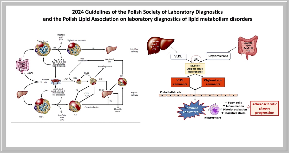 Steps to Follow if Your Lab Outcomes Are in the Borderline Range
