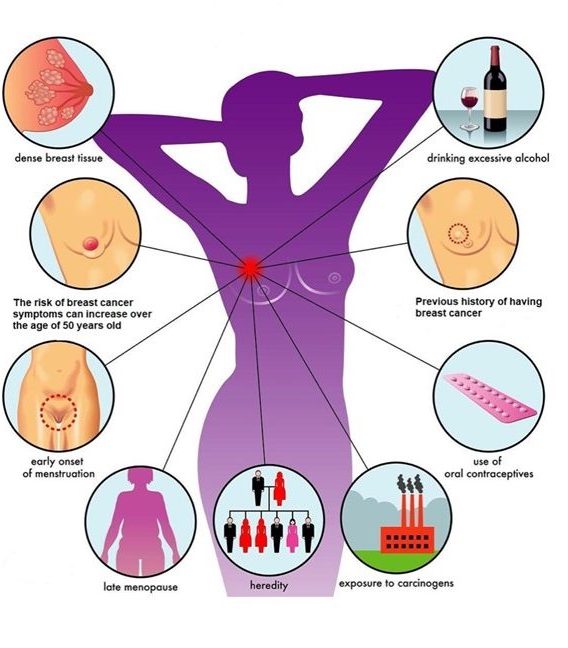The Effects of Alcohol and Dairy Intake on Breast Cancer Risk