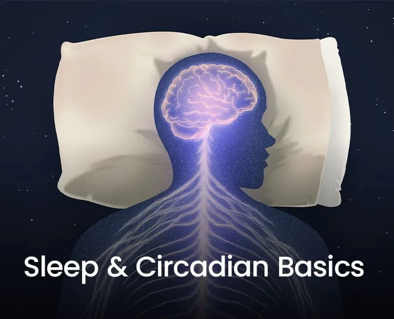 Examining the Relationship Between Circadian Rhythm and Physician Fatigue